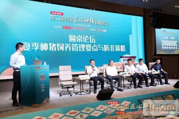 夏季高温高湿，种猪饲养管理要注意这些问题！