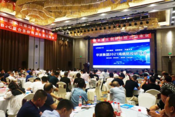 多种鸡病出现新变化？巧用疫苗是关键！——华派集团2021鸡病防控研讨会顺利举行