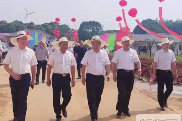 天心种业莲子塘7200头楼房养猪项目顺利交付