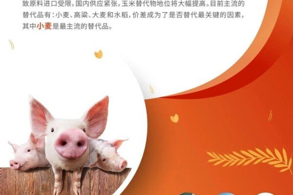 携手普爱，“麦”享未来！