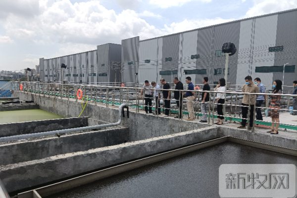 东莞：东莞市农业农村局到常平镇视察指导生猪屠宰检疫工作