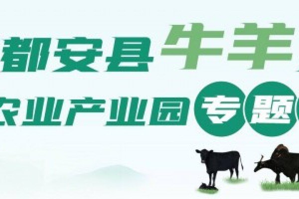 全国脱贫攻坚优秀个人韦克：带领村民养牛实现脱贫，将借产业园东风养殖高端肉牛
