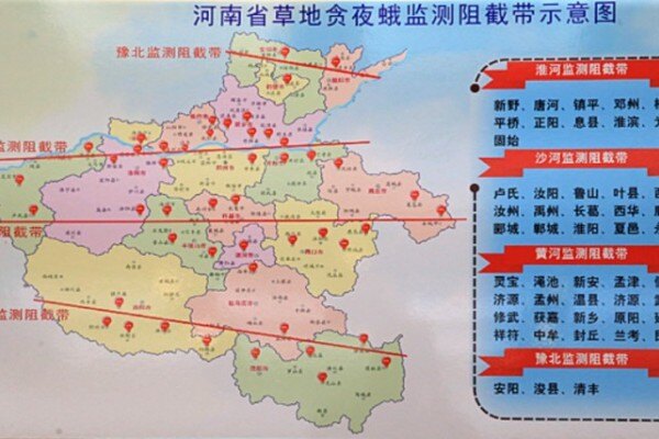 农业大省遭遇极端暴雨，河南的玉米、养猪业影响如何？