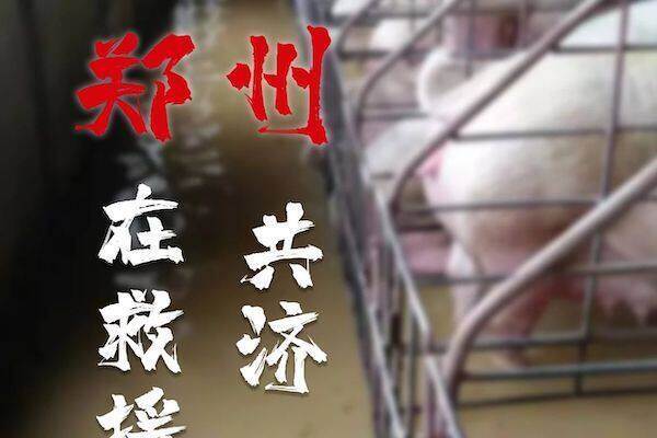 共渡难关——安佑战疫救援包驰援河南