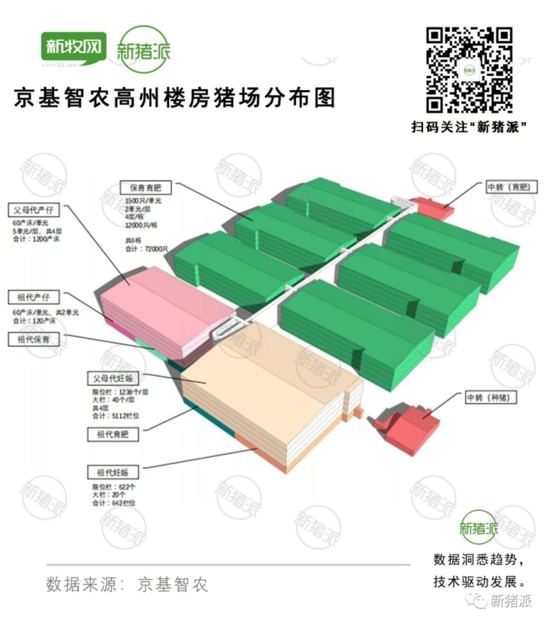 盘点：楼房猪场4类生产工艺布局及典型案例项目