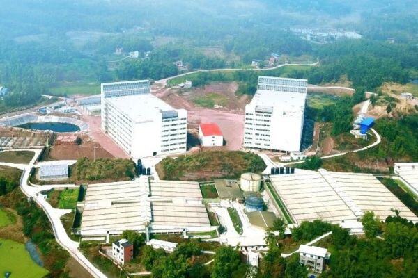 十余年沉淀，40余栋楼房养猪项目！天兆猪业如何用“芯”育种