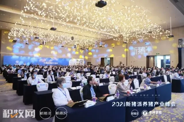 超500行业大咖齐聚，2021新猪派养猪产业峰会在深圳隆重举办！