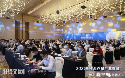 超500行业大咖齐聚，2021新猪派养猪产业峰会在深圳隆重举办！