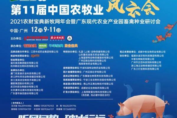 猪肉交易量同比大增79%！消费旺季来临、进口量趋减，四川预判年前猪价稳中上涨