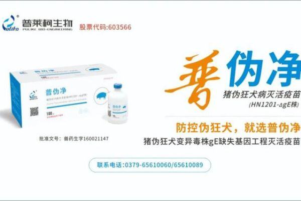 报价群炸了！东北猪价连夜2次上调、南方多地破10！冬至前或仍持续上涨