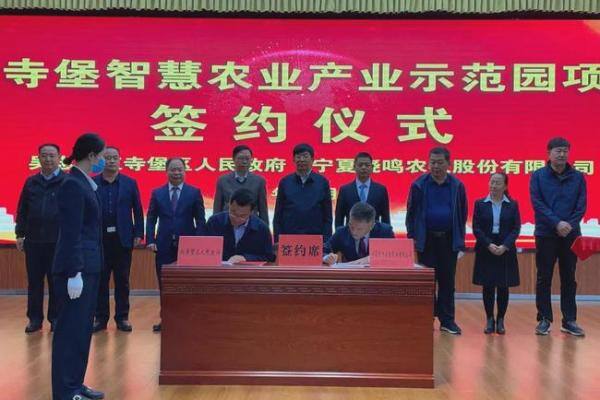 中国蛋鸡第一股拟在宁夏吴忠打造肉鸡全产业链