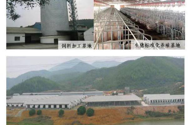 广东惠东：投资2亿建设生猪产业园，2022年目标出栏60万头