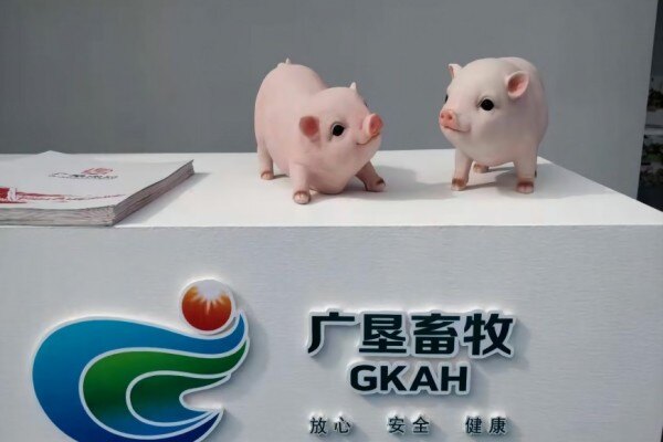 勇肩使命担当 ，全力稳产保供，广垦畜牧多举措赋能“513”战略落地