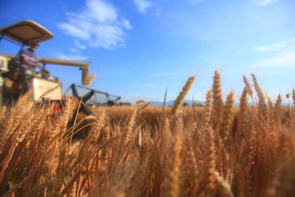 全国农业农村厅局长会议在京召开