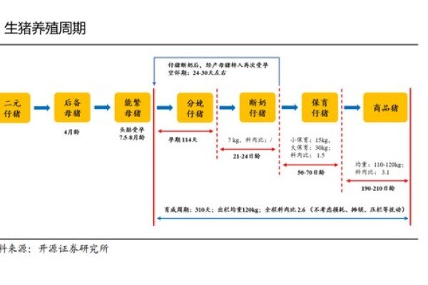 中小型猪企会加速淘汰？2022猪价或现“V字”走势，猪企依旧面临资金大考！
