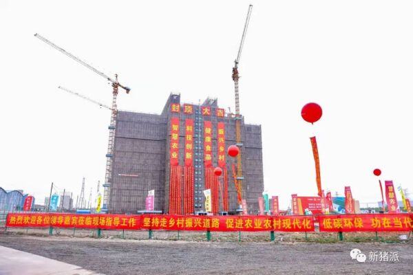 投资16亿、年出栏35万头！扬翔风行17层楼房猪场正式封顶，明年将建成投产