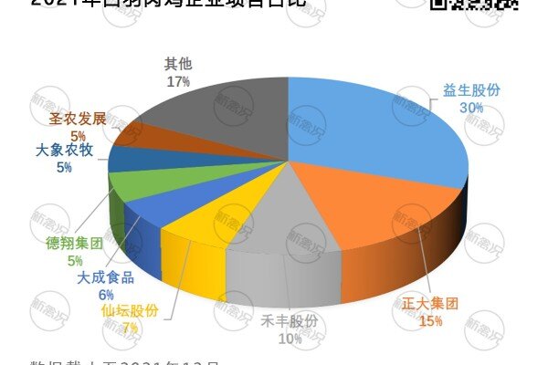 超27亿只！产能翻一倍？2021年白羽肉鸡新增项目汇总！