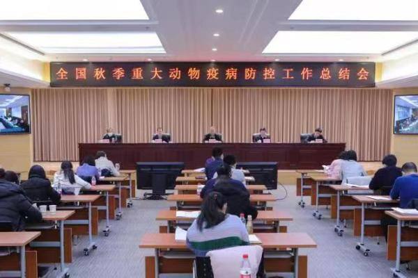 严抓防控！农业农村部最新警示：非洲猪瘟病毒已在我国定殖，布病等重点人畜共患病有所抬头