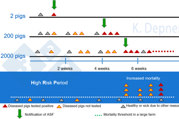 国内猪场爆发ASF时高风险期的重要性