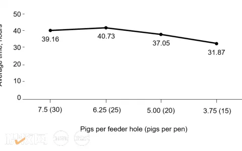 每个喂料器的生猪数和猪群大小对仔猪性能的影响