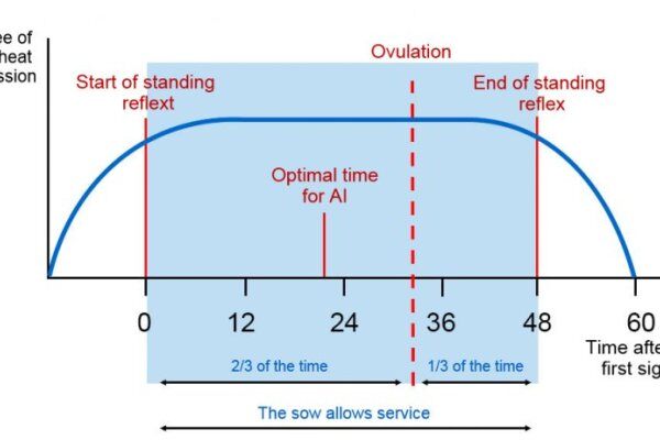 我应该采用哪种授精方法？
