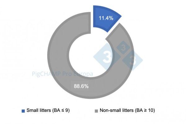 如何尽量降低窝产仔猪少的影响
