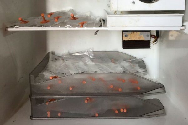 精液的特征：体积，浓度和保存