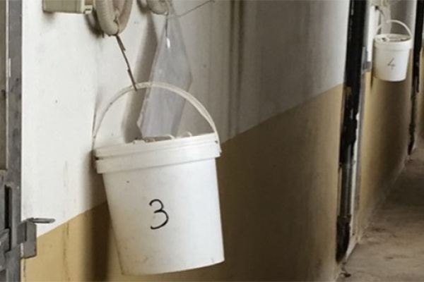 批次间实用生物安全措施