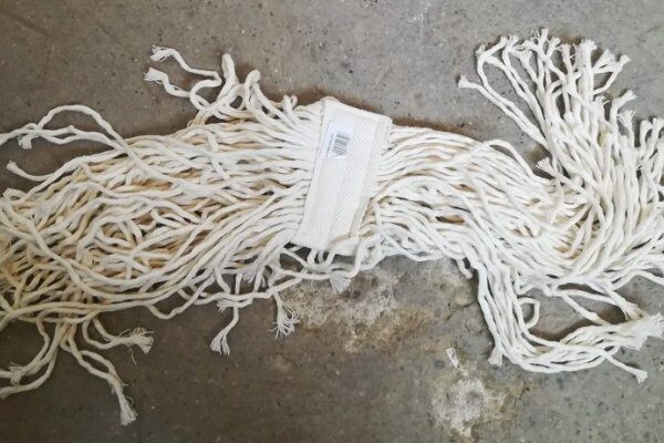 尾巴低垂？快点行动！