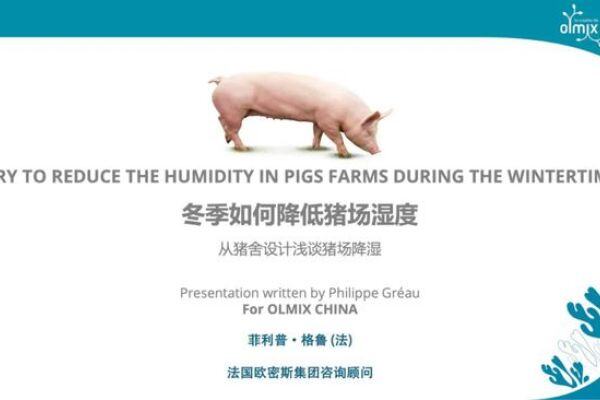 冬季猪场如何降低舍内湿度