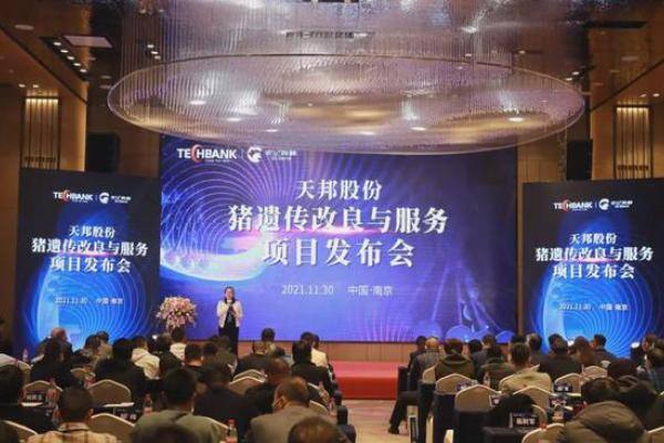 二元母猪399元，纯种母猪799元…天邦发布猪遗传改良与服务新项目