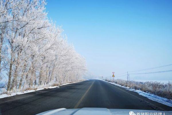 母猪诱导分娩对产活仔数的影响