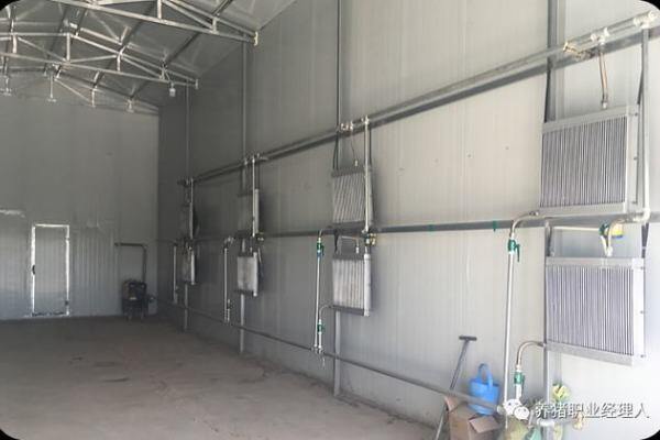 母猪繁殖场出售苗猪详细操作规程