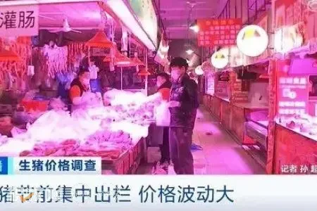 旺季不旺？生猪节前集中出栏，多地猪价跌到每斤8元以下！