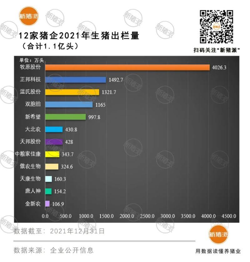 震撼！前12大猪企2021出栏超1亿头，温氏、牧原、正邦、双胞胎等逆势暴增76%