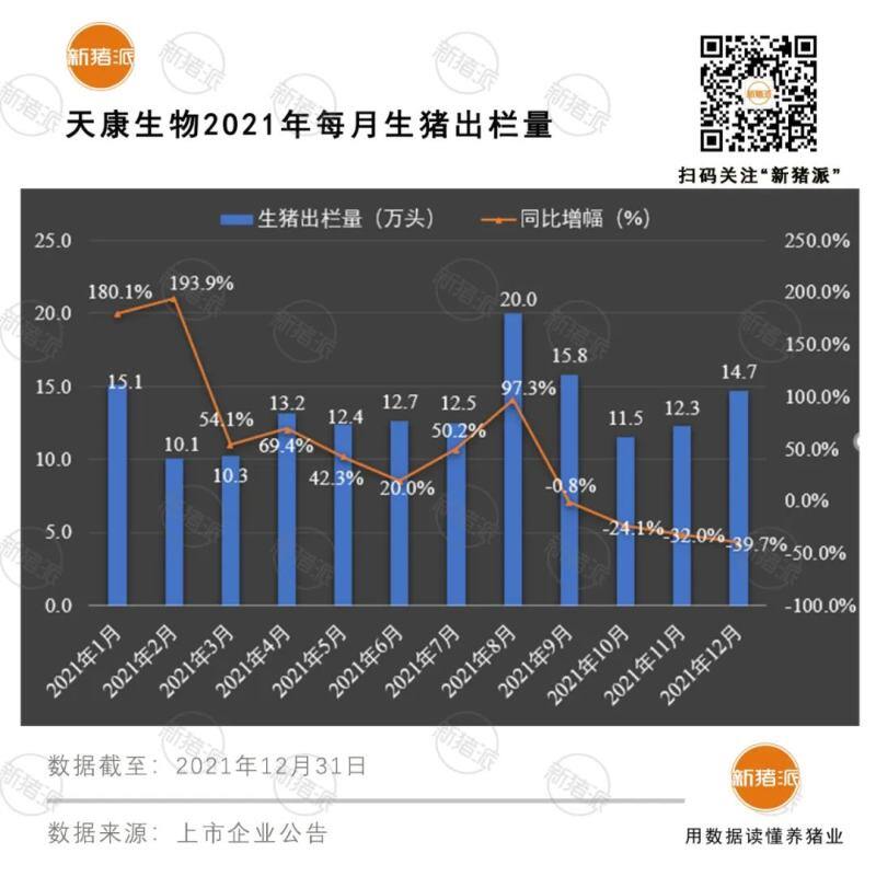 震撼！前12大猪企2021出栏超1亿头，温氏、牧原、正邦、双胞胎等逆势暴增76%