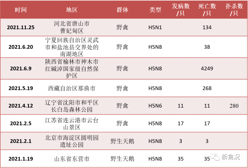 2022年禽流感如何防控？官方发布方法！（内附疫苗生产厂家清单）