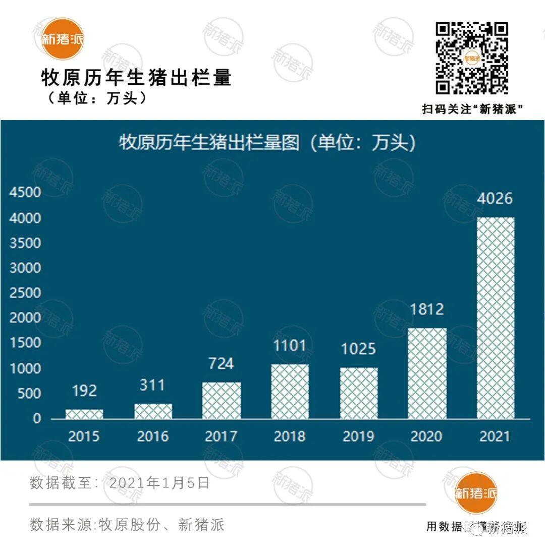 4026万出栏！2021牧原狂奔的全产业链经营：种猪、屠宰、肉猪、粮贸四大板块协同降本