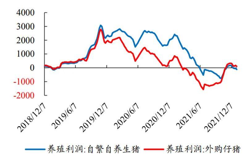 市占率近15%，养猪四巨头扩产明显！猪企出栏拉开差距，行业格局悄然生变