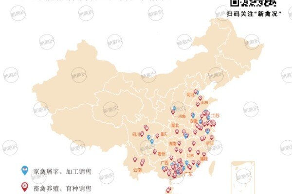 11亿！肉鸡销售再创新高，温氏股份多举打造“三产融合”龙头企业