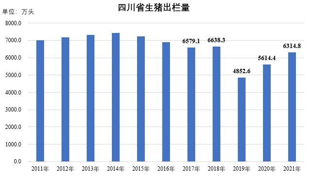 2021年出栏6315万头！四川生猪产能完全恢复，超额完成5800万头出栏目标