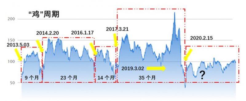 2021行业亏损114亿！跨入第五轮鸡周期，好行情将在2月出现