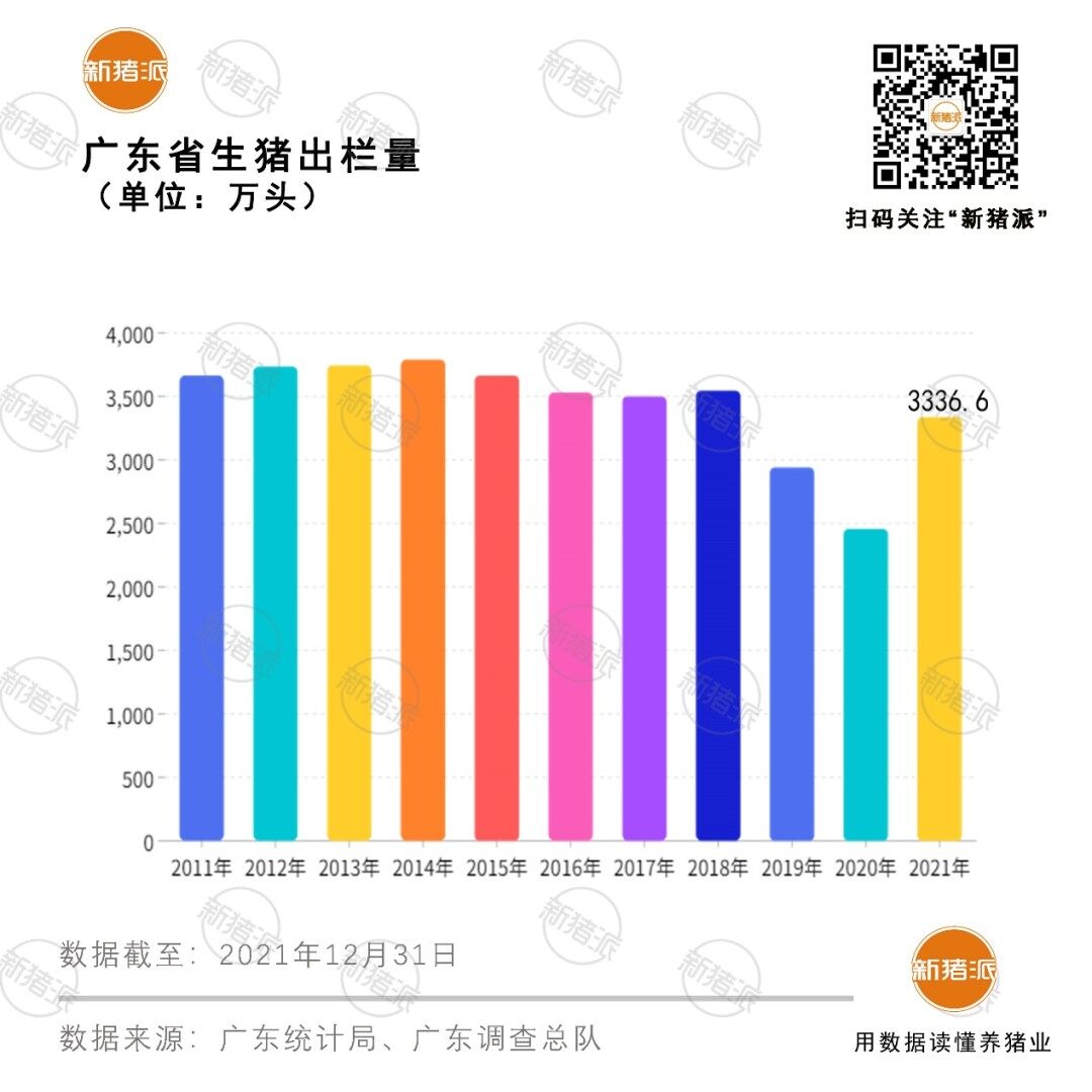 最新！广东2021年生猪出栏3337万头，存栏2075万头，已超非瘟前水平