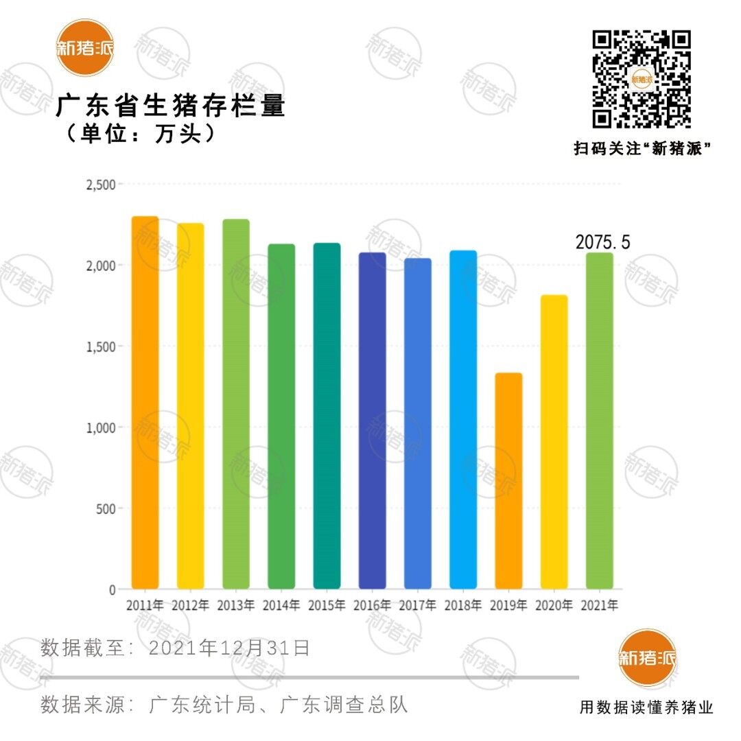 最新！广东2021年生猪出栏3337万头，存栏2075万头，已超非瘟前水平