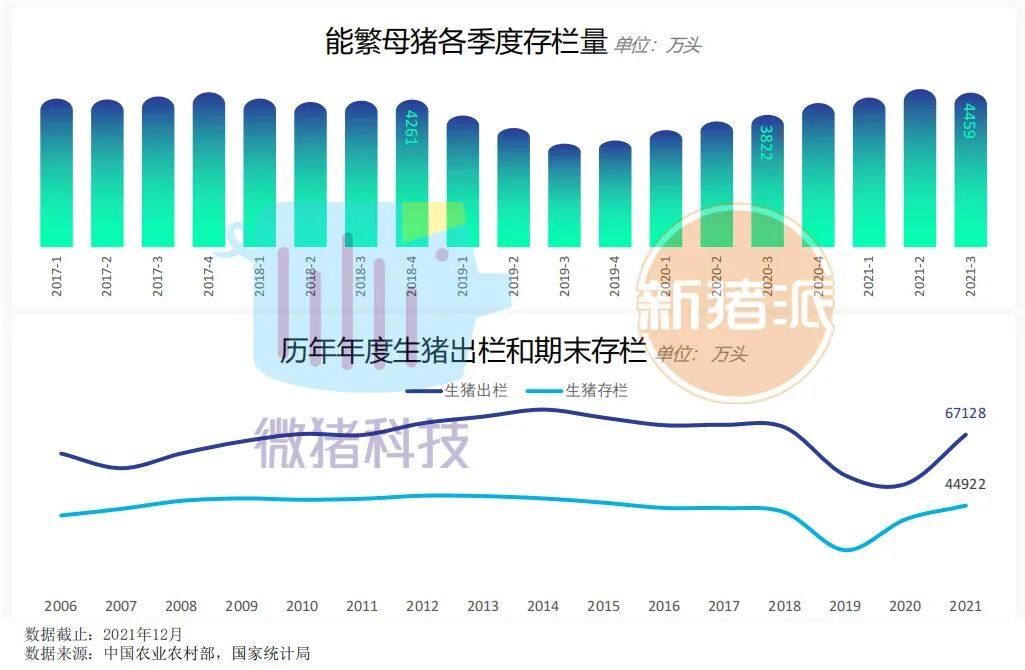 这195家猪场生产性能数据，揭示中国养猪业生产关键难题 ｜ 2021全国猪业数据报告