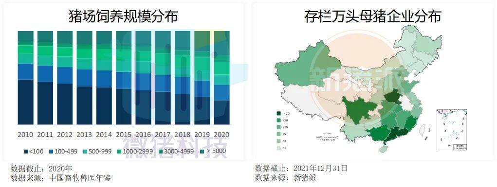 这195家猪场生产性能数据，揭示中国养猪业生产关键难题 ｜ 2021全国猪业数据报告