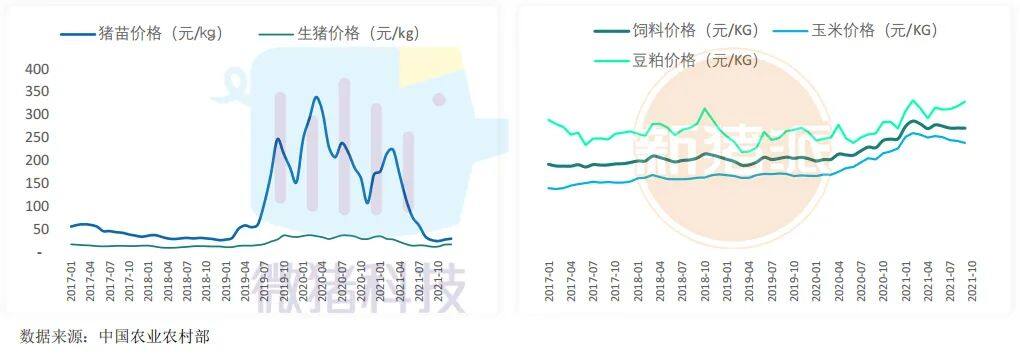 这195家猪场生产性能数据，揭示中国养猪业生产关键难题 ｜ 2021全国猪业数据报告