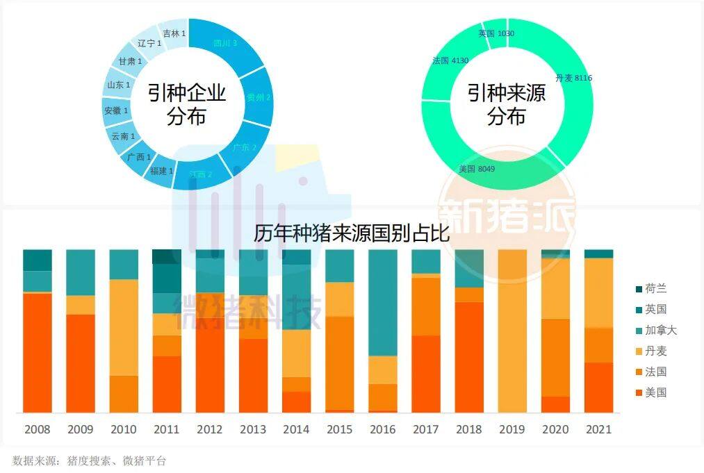 这195家猪场生产性能数据，揭示中国养猪业生产关键难题 ｜ 2021全国猪业数据报告