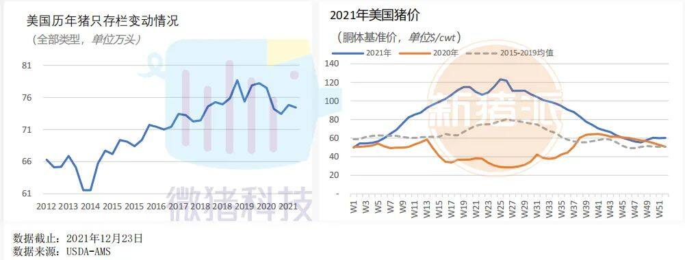 这195家猪场生产性能数据，揭示中国养猪业生产关键难题 ｜ 2021全国猪业数据报告