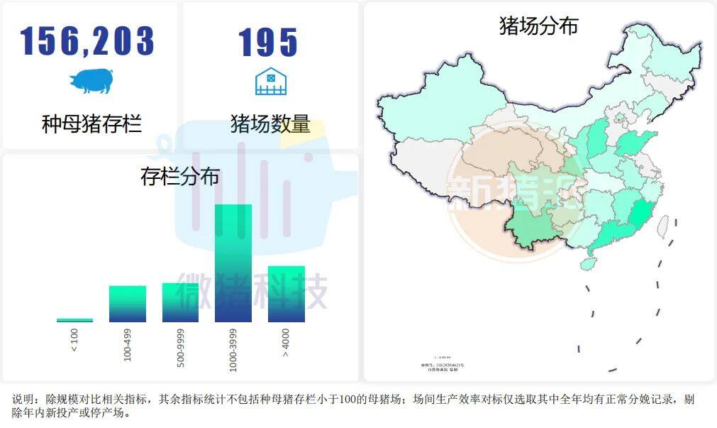 这195家猪场生产性能数据，揭示中国养猪业生产关键难题 ｜ 2021全国猪业数据报告